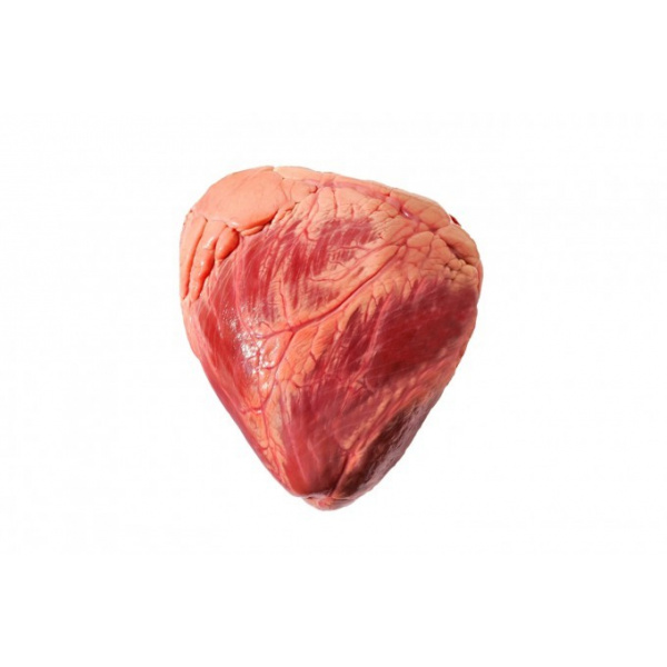 frozen beef heart